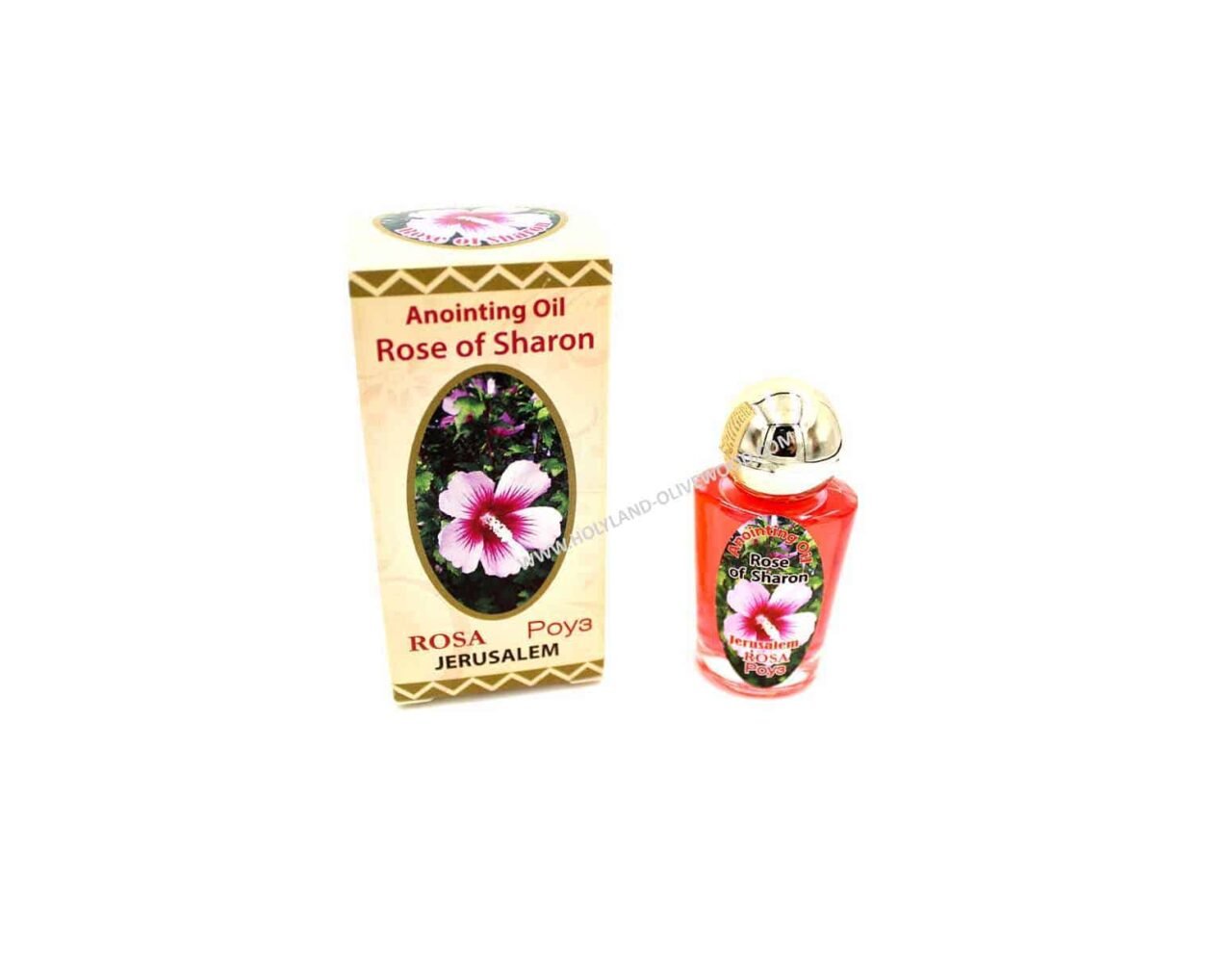 Bibbia Regalo Con Olio D'Oliva Per Unzione Da Gerusalemme - Profumo Rosa Di Sharon, Ein Gedi